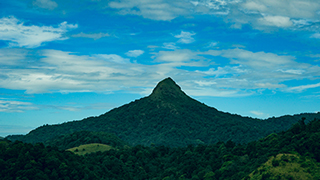 Silent Valley, Palakkad
