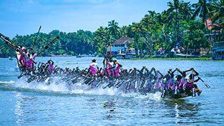 Snake boat in action, Kerala Backwaters