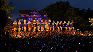 The colourful festivities at Thrissur Pooram celebrations