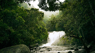 The hidden beauty of Lakkam Waterfalls, Munnar