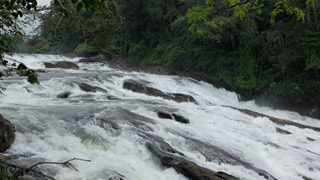 Vazhachal Wasserfälle
