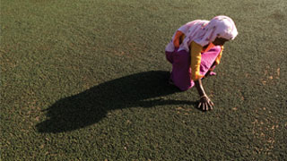 Frau sortiert Pfeffer 