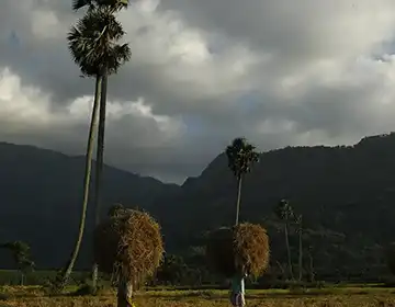 Kerala Village Theme