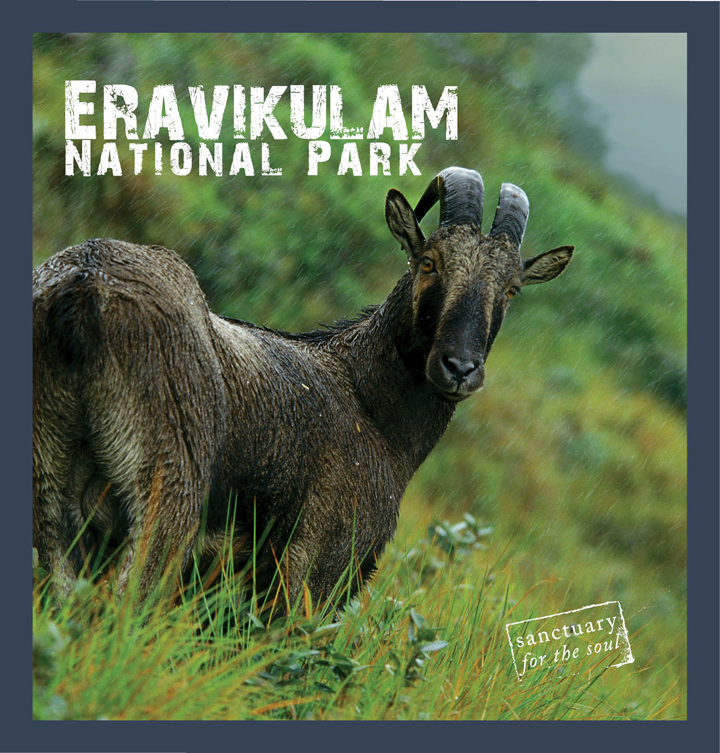 Eravikulam National Park