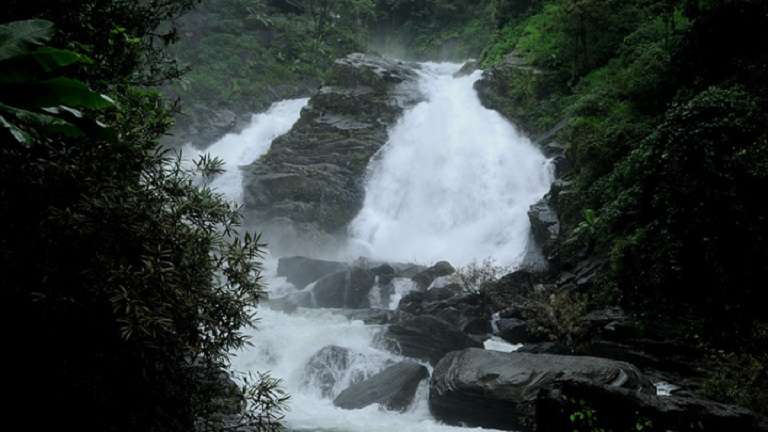 Waterfalls in Wayanad 