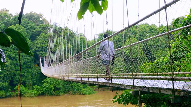 Nilambur in Malappuram 