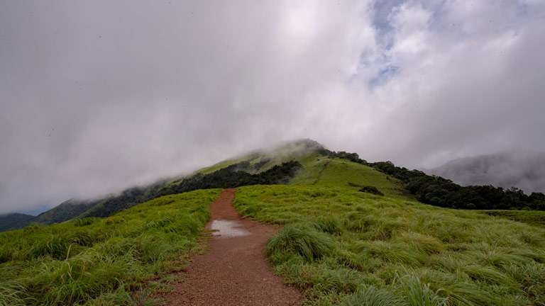 Paithal Mala - the highest peak in Kannur 