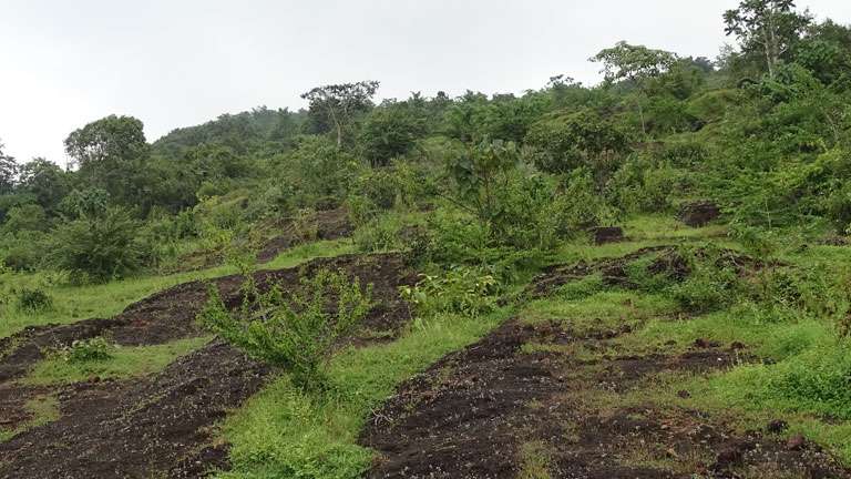 Possadi Gumpe - a less explored hill station in Kasaragod 