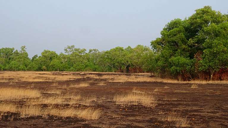  Veeramala Hill, Cheruvathur