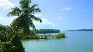 Valiyaparamba Backwaters, Kasaragod