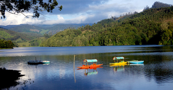 Bamboo Rafting, Eco Tourism Programmes in Periyar, Tiger Reserve, Thekkady,  Idukki, Kerala, India