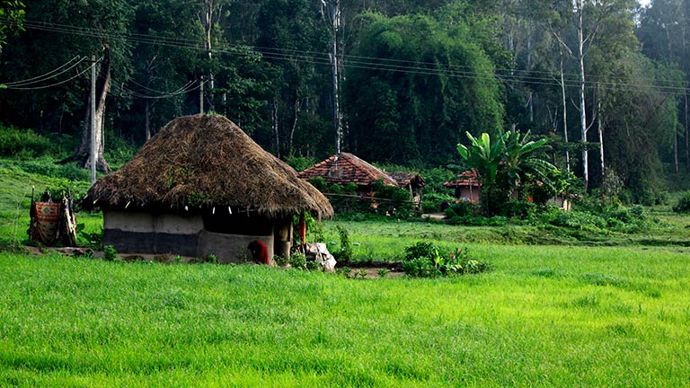 Tribal Population in Wayanad