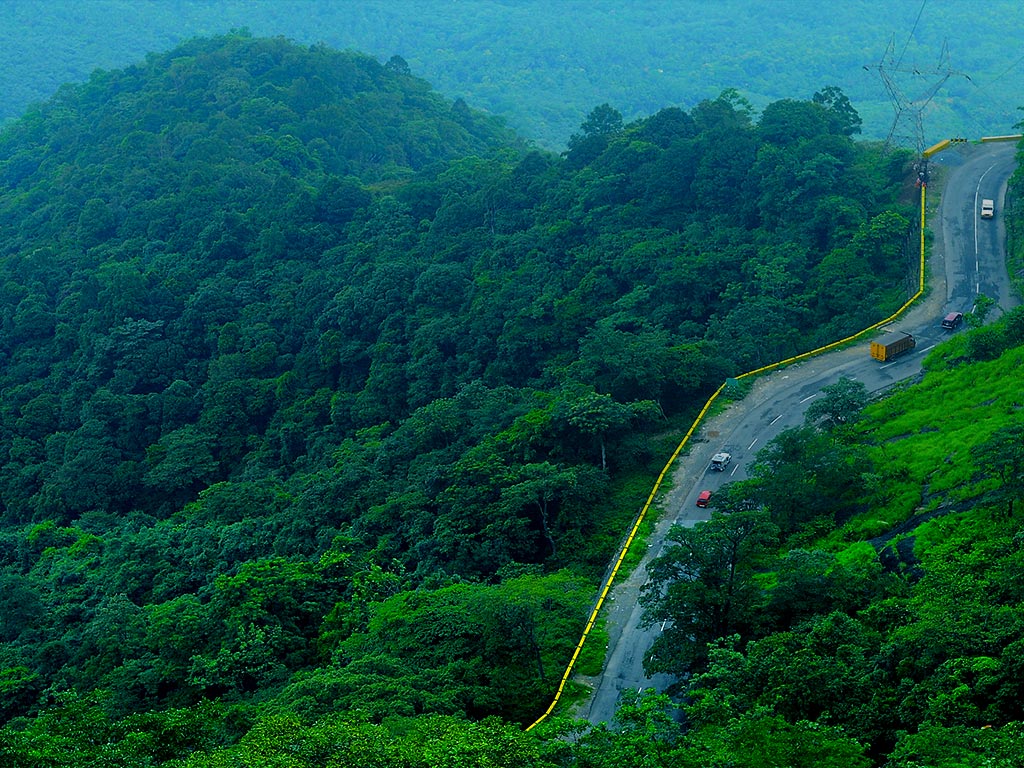 Rainforest Trekking Wayanad District Kerala India