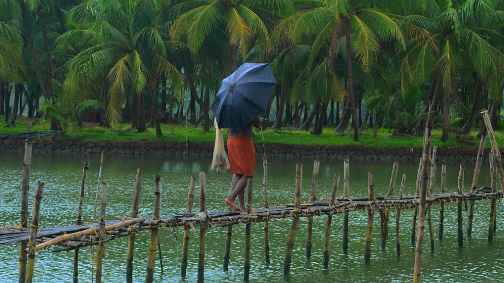 Monsoon in Kerala