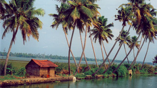 Folk song