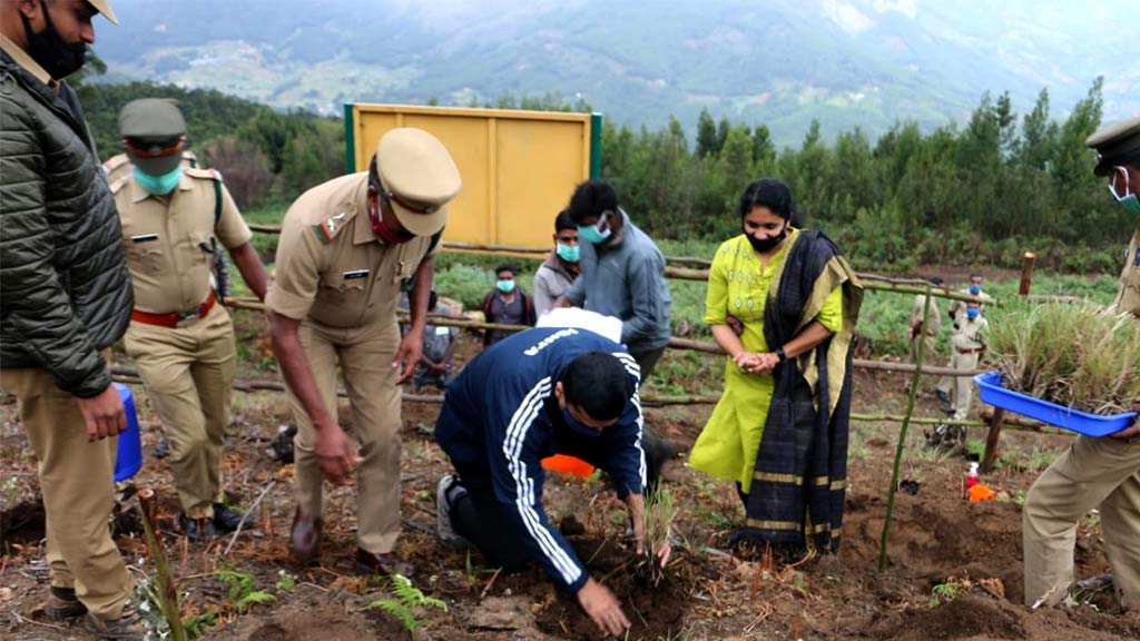 Conservation of Neelakurinji Habitat