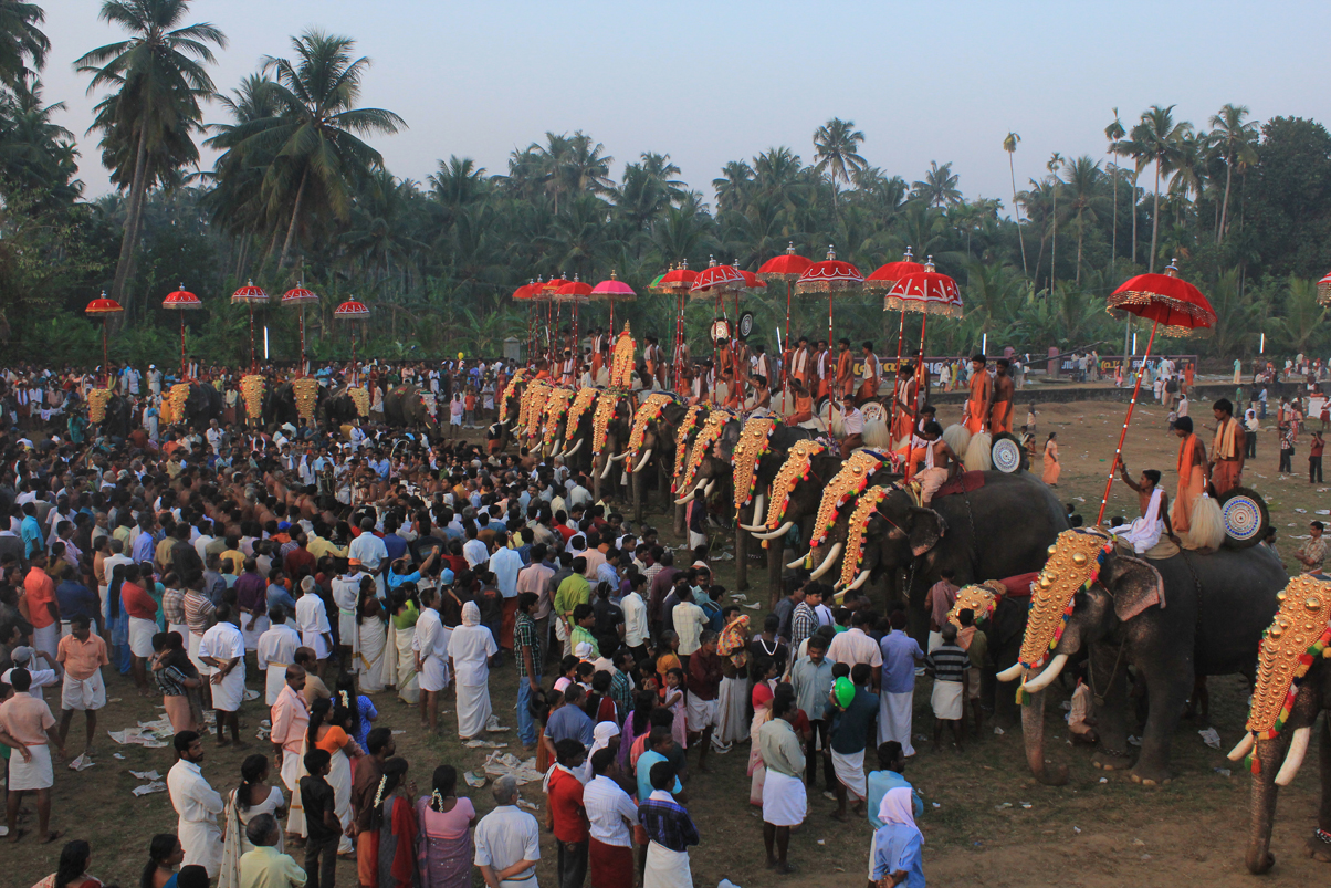 Elephants at Arattupuzha Pooram