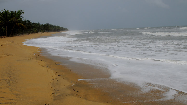 Explore the beaches of Kasaragod