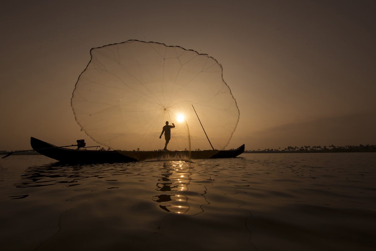 Fishing nets in the backwaters of Kerala
