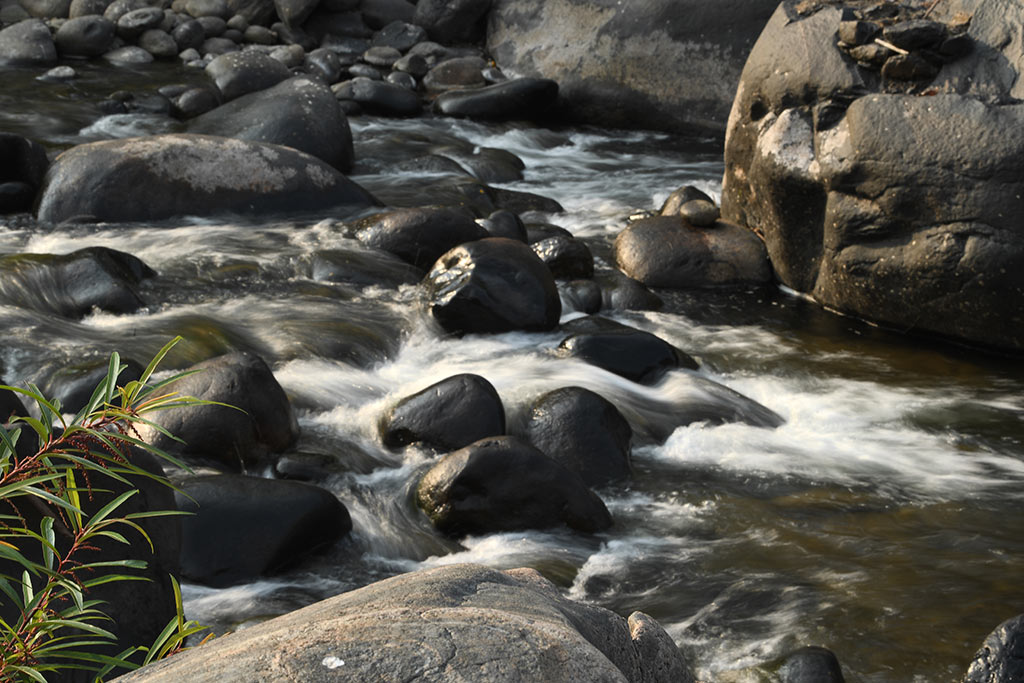 Gushing waters of Adyanpara falls | Nedumkayam