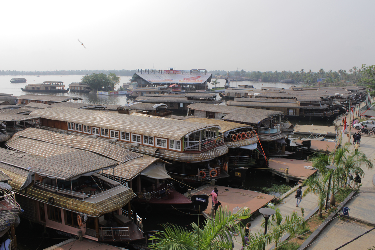 Houseboats lined-up in backwaters of Kerala