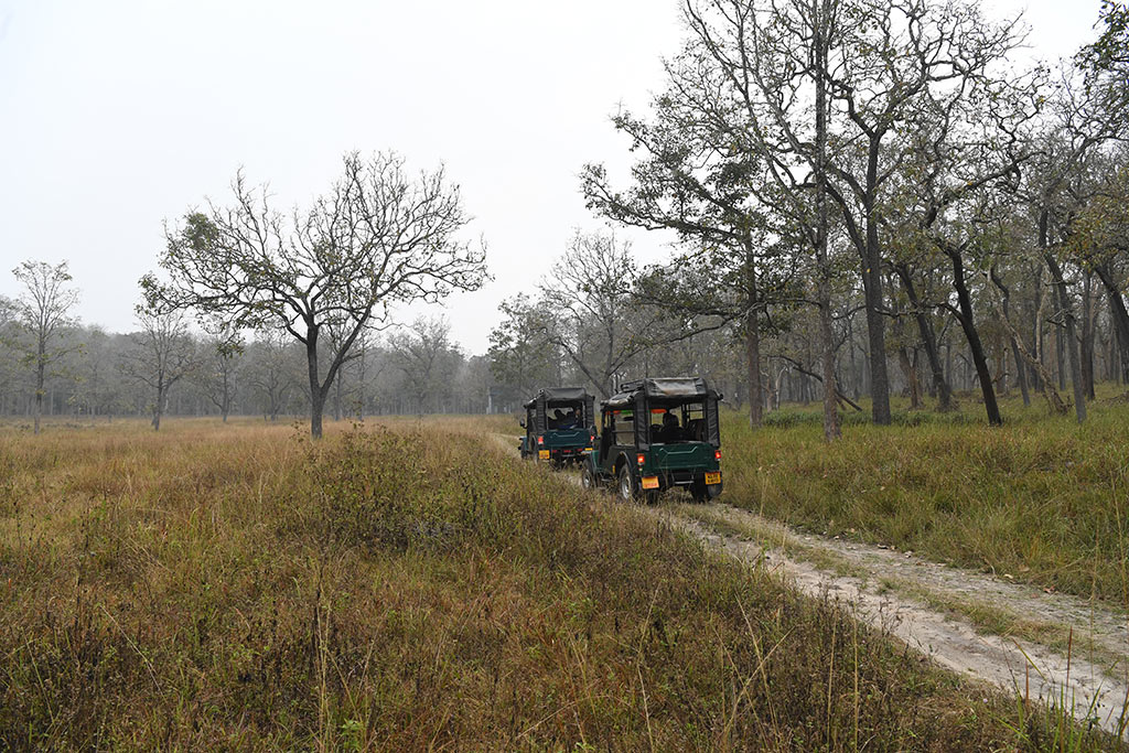 tholpetty wildlife sanctuary jeep safari booking