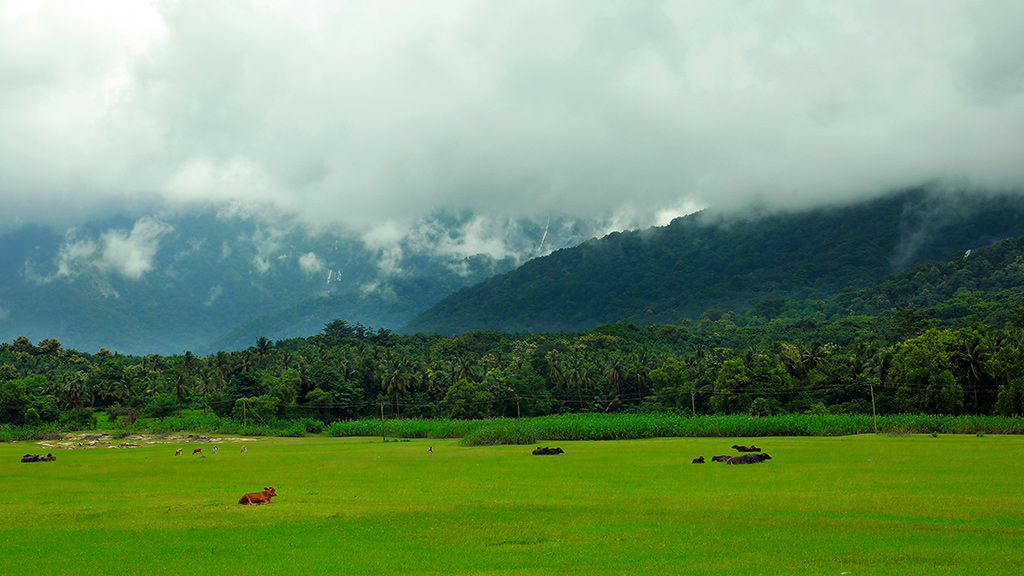 Kava Viewpoint Tourist Places in Palakkad Instagrammable Spots in