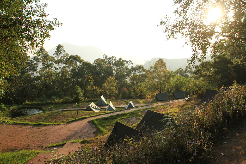 Morning at Base Camp | Munnar