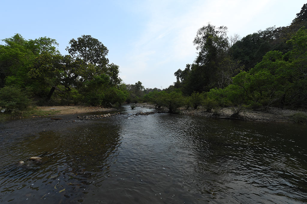 Picturesque view of Karimpuzha river | Nedumkayam
