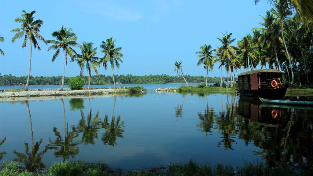 The Tranquil Poovar