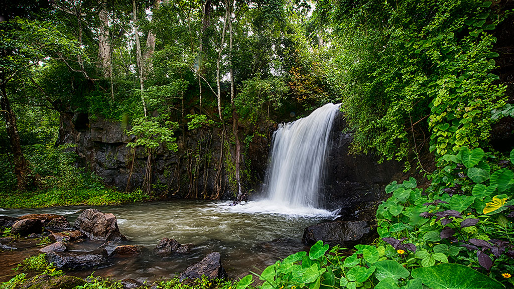 The hidden beauty of Vattayi Waterfalls
