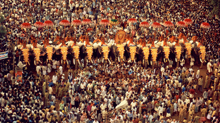 Image result for thrissur pooram