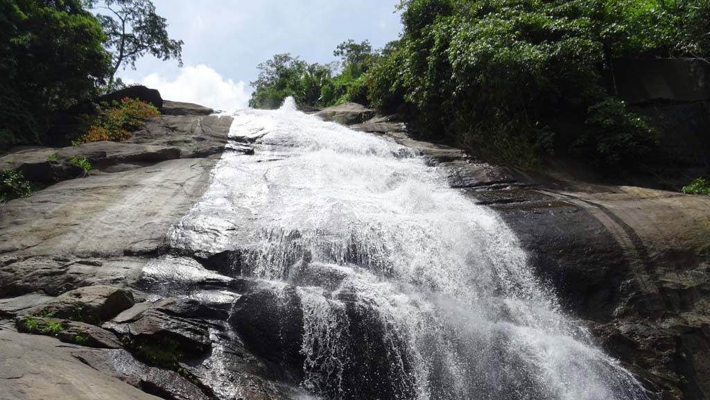 Thusharagiri waterfalls