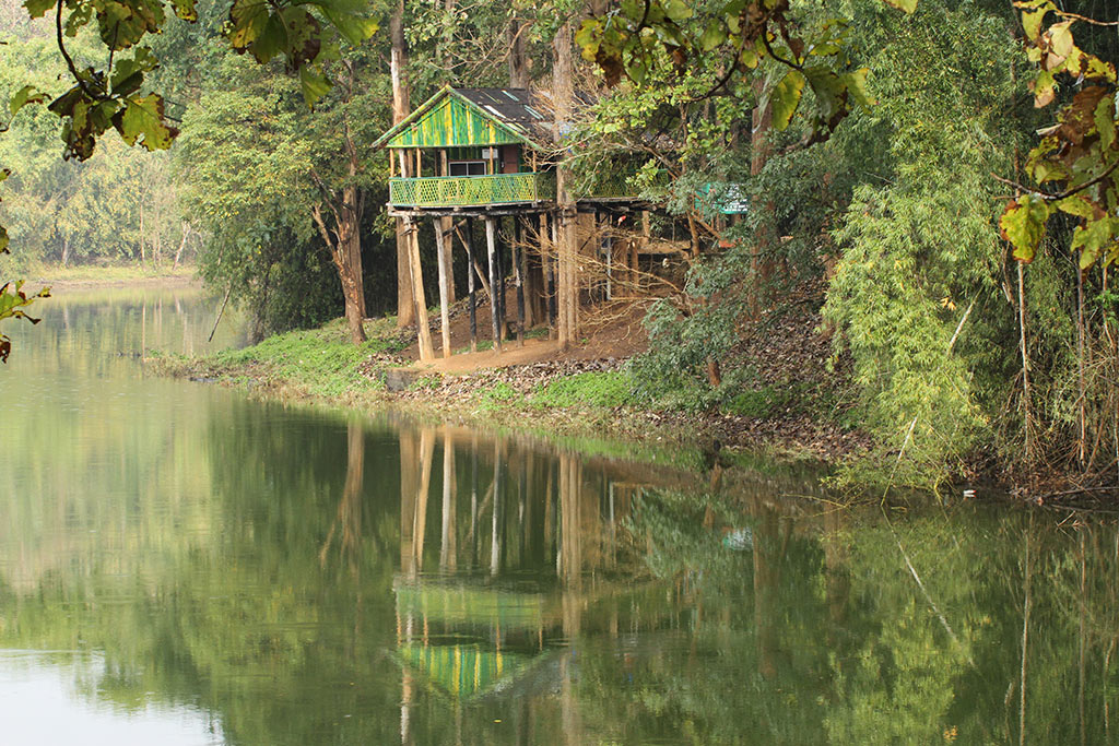 Treetop hut at Thunakadavu | Parambikulam Tiger Reserve, | Eco tourism destinations Kerala | Trekking programmes