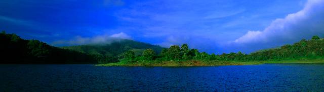 Periyar forests and River of Thekkady 