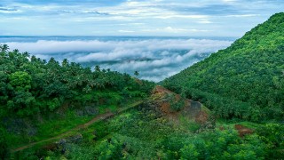 Arimbra Hills or Mini Ooty, Malappuram
