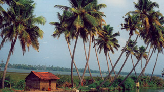 Backwaters of Kerala