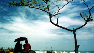 Fort Kochi Beach Visuals