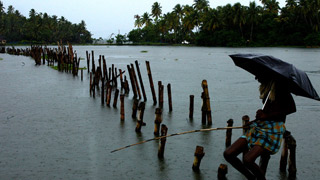 Monsoon Rains in Kerala