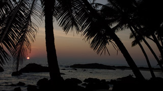 Playas rodeadas de palmeras en Kerala