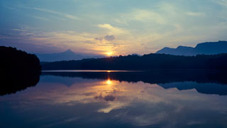 Parambikulam Tiger Reserve