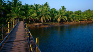 The Nileswaram River