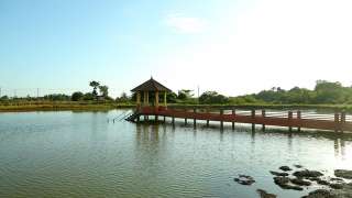 The pond of turtles – Aamakkulam