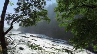 Vazhachal Wasserfälle