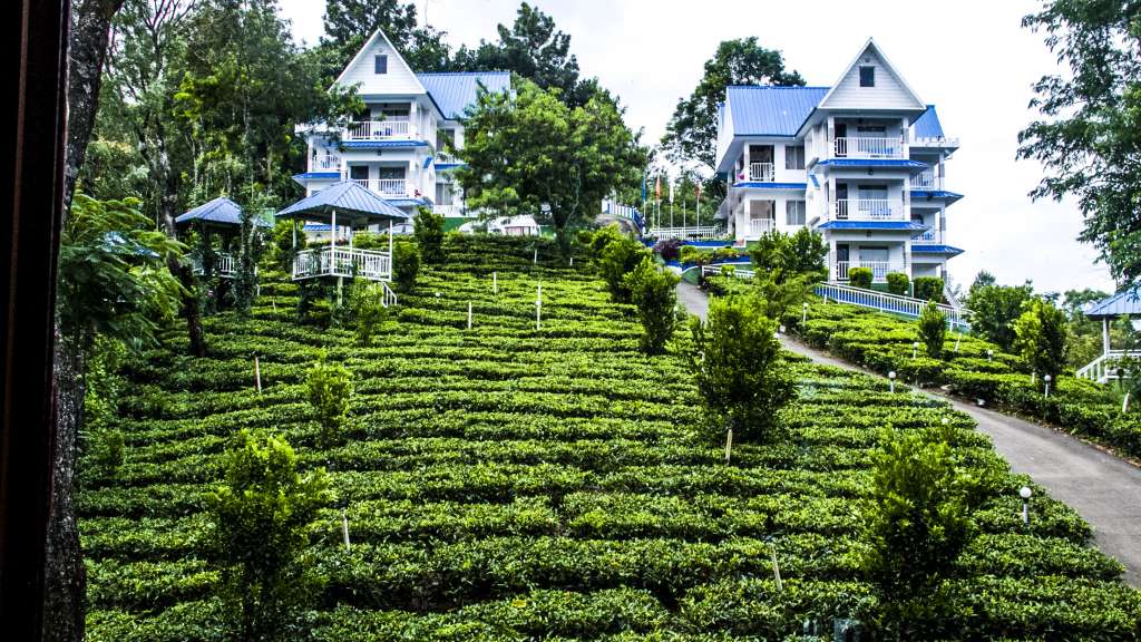 kerala tourism munnar hotels