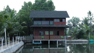 MangroveHolidays