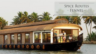 Click here to view the details of SPICE ROUTES LUXURY CRUISES 