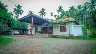 Click here to view the details of Organic Village Homestay