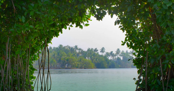 Backwaters of Kerala 