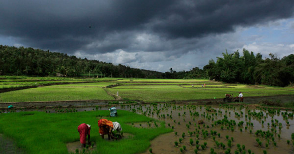 Monsoon in Kerala 